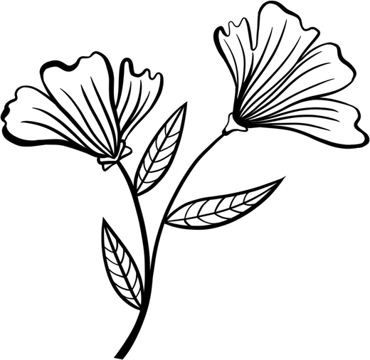 Black Flowers Illustration